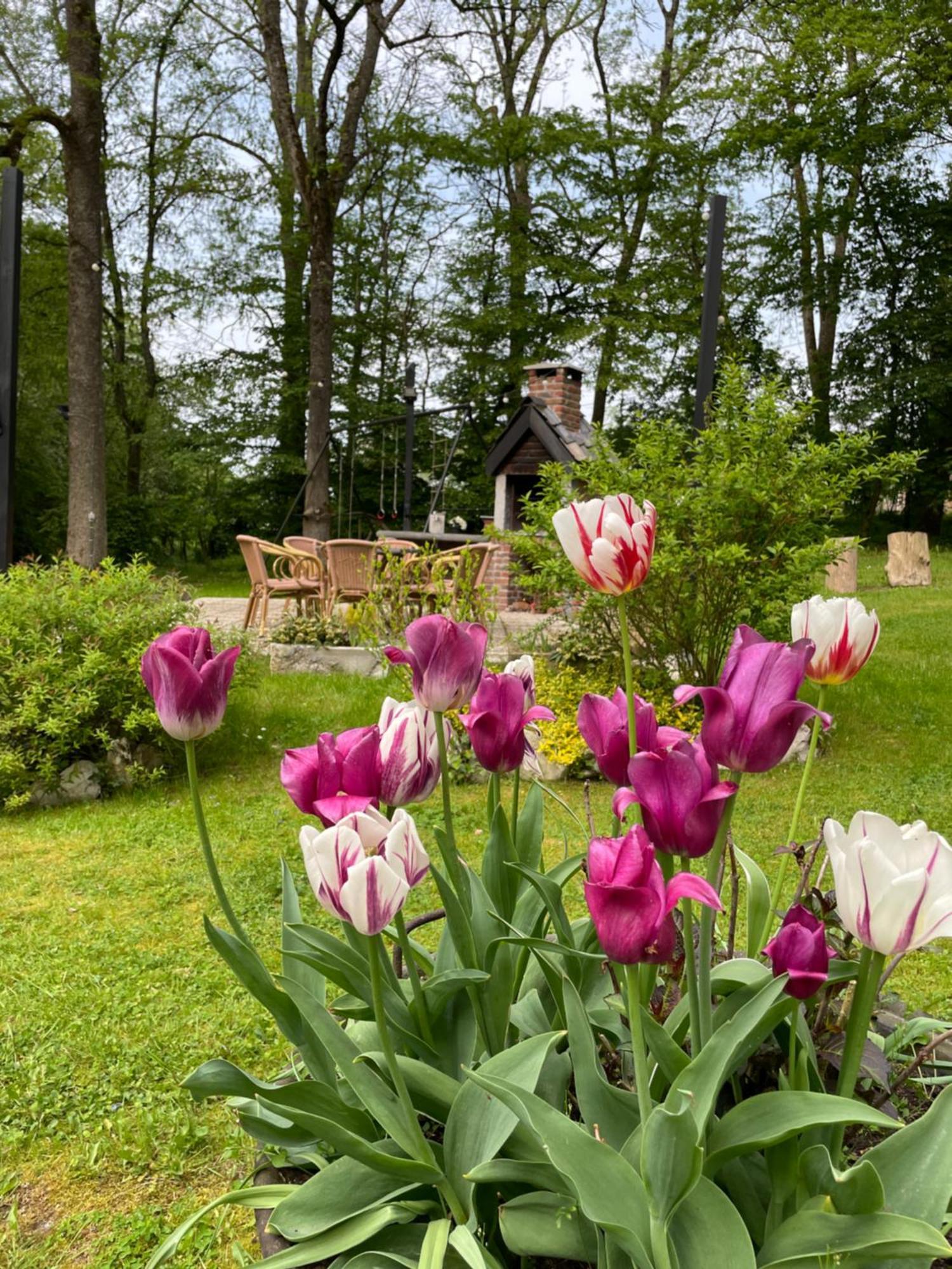 La Villa Emilie Durbuy Esterno foto